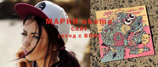 МДПВ Валдай